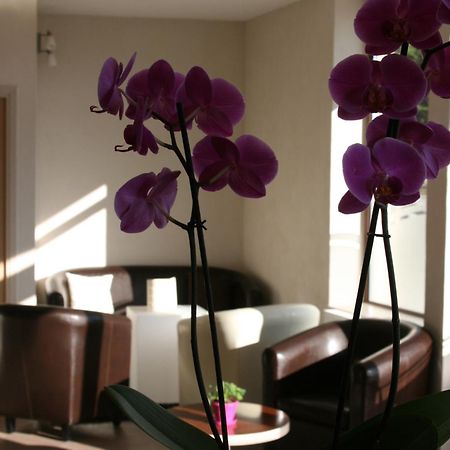 Hotel Bel Horizon Saint-Chely-d'Apcher Ngoại thất bức ảnh